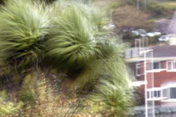 Langland Bay surf001